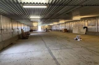 Geschäftslokal mieten in 01665 Klipphausen, Großzügige Halle - ideal als Lagerfläche in Sora bei Klipphausen!