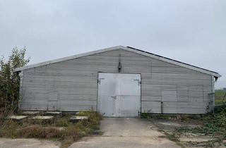 Geschäftslokal mieten in 01665 Klipphausen, Sora bei Klipphausen! Teilfläche einer großzügigen Lagerhalle anmietbar!