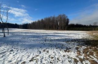 Bauernhaus kaufen in 08289 Schneeberg, Schneeberg - Idyllisches Anwesen mit Wohnhaus Stall Scheune 18.514 m² Grünland