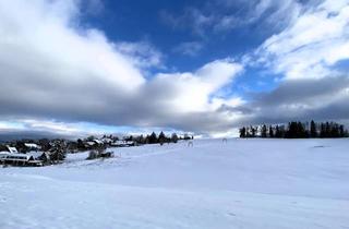 Wohnung kaufen in Grüne Aue 6/8, 38700 Braunlage, Machen Sie eine 2-Zimmer Wohnung draus: Was für ein Blick!