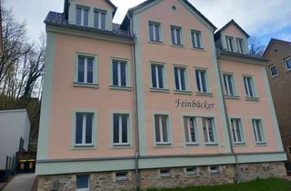 Wohnung mieten in Leipziger Str. 68, 01662 Meißen, Hochwertig sanierte 3-Zimmerwohnung mit Balkon am Rande der Meißner Altstadt