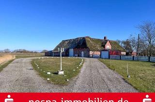 Haus kaufen in 25927 Neukirchen, Keine Nachbarn! Ländliches Leben unter Reet