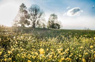 Grundstück zu kaufen in 83627 Warngau, SONNIGER BAUPLATZ ZWISCHEN MÜNCHEN UND DEN BERGEN