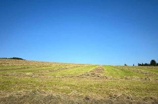 Gewerbeimmobilie kaufen in 32694 Dörentrup, Landwirtschafts-flächen in Dörentrup-Ortsteil