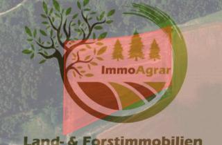 Gewerbeimmobilie kaufen in 85250 Altomünster, Verkaufe 2,50 ha Ackerland in 85250 Hohenzell (DAH)