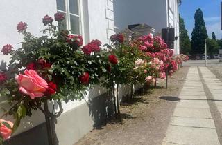 Wohnung kaufen in 18581 Putbus, Großzügige Dachgeschosswohnung mit Terrasse mit Blick auf die Insel Vilm