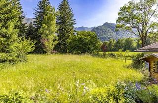 Grundstück zu kaufen in 83730 Fischbachau, Jetzt mit FamiliemitKInd-Bonus - Sonniges Grundstück in Fischbachau