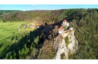 Immobilie kaufen in 78567 Fridingen, Hofgut mit Eigenjagd, ca. 126 ha (340 ha)