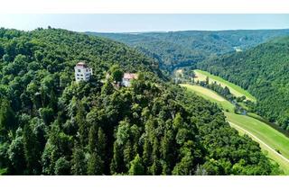 Immobilie kaufen in 78567 Fridingen, Schloss mit Hofgut u. Eigenjagd, ca. 340 ha (126 ha im Eigentum)