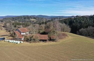 Haus kaufen in 94354 Haselbach, ehem. Hofstelle in einzigartiger Lage
