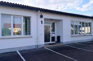 Gewerbeimmobilie mieten in 74889 Sinsheim, Kaltlagerfläche im EG - unterteilt in mehrere Räume