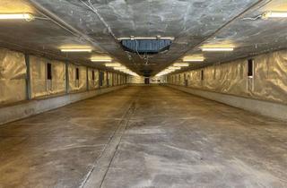 Gewerbeimmobilie mieten in 67578 Gimbsheim, PROVISIONSFREI Lagerhalle zu vermieten mit 670m2