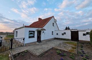 Einfamilienhaus kaufen in 39615 Seehausen, Seehausen (Altmark) - Idyllischer kleiner Bauernhof in der Altmärkischen Wische