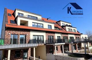Wohnung mieten in Burtschützer Hofweg, 06729 Elsteraue, barrierefreies Wohnen gehobene Ausstattung in exponierter Wohnlage Elsteraue - 360° Tour ansehen!