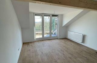 Wohnung mieten in Birkenweg, 56422 Wirges, Kernsanierte 2-ZKB Dachgeschosswohnung in Wirges