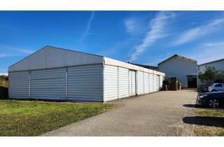 Gewerbeimmobilie mieten in Rheinstraße, 79350 Sexau, Leichtbauhalle mit Zeltdach mieten