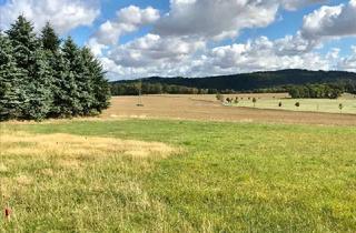 Grundstück zu kaufen in 01920 Steina, Verstecktes ruhiges Baugrundstück in Steina
