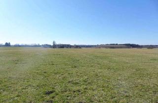 Gewerbeimmobilie kaufen in 86925 Fuchstal, 15.270 m2 großes landwirtschaftliches Grundstück in schöner, freier Lage in der Gemeinde Fuchstal