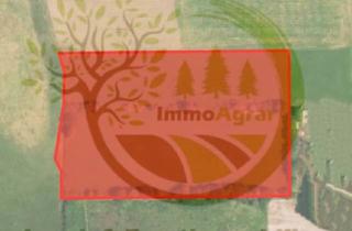 Gewerbeimmobilie kaufen in 86975 Bernbeuren, Verkaufe 3,08 ha Grünland in 86975 Echerschwang (WM)