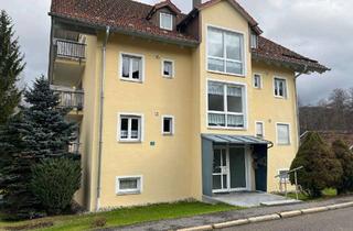 Wohnung kaufen in 94258 Frauenau, Schöne 2-Zimmer-EG-Wohnung mit Balkon und Einbauküche in Frauenau