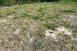 Grundstück zu kaufen in 86944 Unterdießen, BAUGRUNDSTÜCK - Ihr individuelles Neubauhaus - Hier ist bauen noch leistbar!