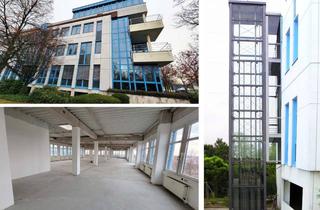 Büro zu mieten in Montgolfierstraße 246, 04509 Wiedemar, Sie haben die AUSWAHL! Freie Produktions-/ Lagerhallen & Büros im Gewerbepark Wiedemar