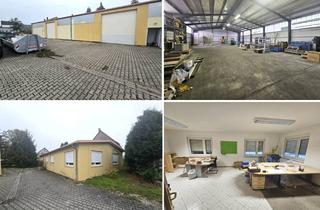 Büro zu mieten in Grimmaer Straße 40, 04683 Belgershain, Alles in Einem! Halle für Produktion/Lager + gr. GS + Freifläche + Wohn-/Bürogebäude