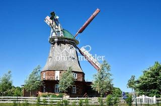 Haus kaufen in Mühlentor 8b, 18233 Neubukow, Wohnen in einer sanierten Holländerwindmühle an der Ostsee