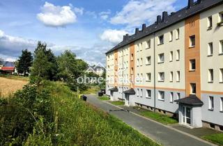 Wohnung mieten in Neubau 10, 09481 Elterlein, Elterlein !! 2 Monate kaltmietfrei !! top renovierte 2-Zimmer-Wohnung Balkon/Bad Fenster/Kamin/EBK