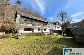 Einfamilienhaus kaufen in Steinchesweg 25, 56244 Maxsain, Charmantes Einfamilienhaus mit Einliegerwohnung in ruhiger Wohnlage von Maxsain