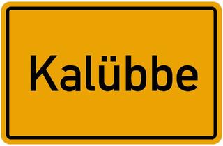 Einfamilienhaus kaufen in 24326 Ascheberg, Ascheberg (Holstein) - Freistehendes Einfamilienhaus in Kalübbe bei Wankendorf