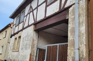 Bauernhaus kaufen in 06526 Sangerhausen, Sangerhausen - Haus mit großem Grundstück Garten ca.6700qm