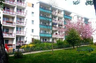 Garagen mieten in Am Baltenring 75 - 77, 12619 Kaulsdorf, PKW Stellplatz zum 01.06.2025