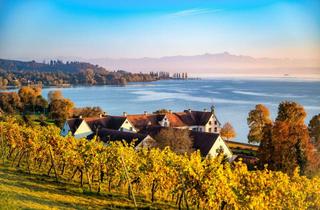 Gewerbeimmobilie kaufen in 88690 Uhldingen-Mühlhofen, Hotel in begehrter Lage am See