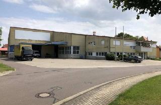 Gewerbeimmobilie kaufen in 04575 Neukieritzsch, Logistik - und Gewerbeobjekt im Leipziger Neuseenland kaufen