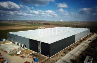 Gewerbeimmobilie mieten in 31177 Harsum, Spekulativer Neubau an der A7 nahe Hildesheim!