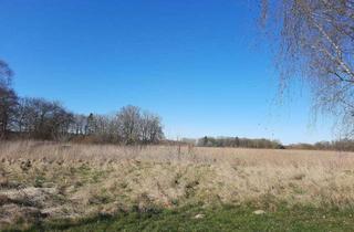 Grundstück zu kaufen in 17495 Groß Kiesow, Großes Baugrundstück in Groß Kiesow zu verkaufen