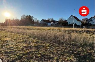 Grundstück zu kaufen in 91236 Alfeld, Sonnige Baugrundstücke in Alfeld