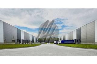 Büro zu mieten in 67269 Grünstadt, NEUBAU ✓ ERSTBEZUG ✓ Lager-/Logistik (15.000 m²) & Büro (1.000 m²)