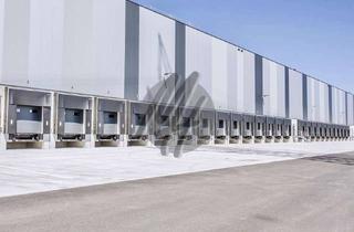 Büro zu mieten in 67269 Grünstadt, NEUBAU ✓ ERSTBEZUG ✓ Lager-/Logistik (30.000 m²) & Büro (1.500 m²)