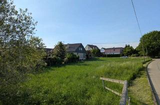 Grundstück zu kaufen in 89312 Günzburg, Attraktives Grundstück in Günzburg