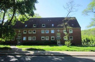 Wohnung mieten in Kollower Str. 41, 21493 Schwarzenbek, Mein neues Zuhause: Frisch saniert und gemütliche Dachgeschosswohnung