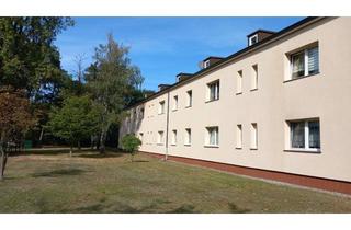 Wohnung mieten in Ahornweg 2b, 14913 Niedergörsdorf, Altersgerechte / Behindertengerechte 2 - Raum Wohnung in ruhiger Lage