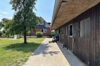 Haus kaufen in 27259 Varrel, Traumhafte Pferdeimmobilie mit zwei Wohnhäusern in Niedersachsen!