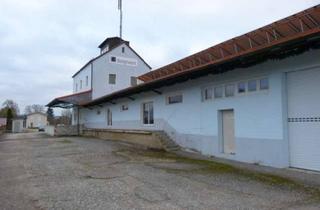 Gewerbeimmobilie mieten in 93158 Teublitz, Ab sofort: Ca.143 m² reine Lagerfläche in einem ehemaligen Lagerhaus mit Laderampe!