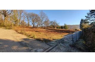 Grundstück zu kaufen in 67680 Neuhemsbach, Sonniges Wochenendgrundstück mit Ausblick!