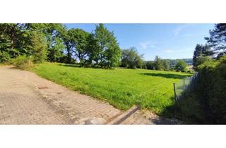 Grundstück zu kaufen in 67680 Neuhemsbach, Sonniges Wochenendgrundstück mit Ausblick!