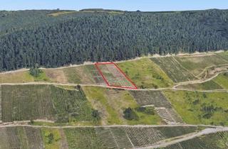 Grundstück zu kaufen in 56856 Zell, ehem. Weinberg a.d. Mosel