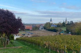 in Wonnegauer Straße 21, 67598 Gundersheim, Nur noch eins in der Vergabe! Erbbaugrundstück für Wohnhausbebauung!