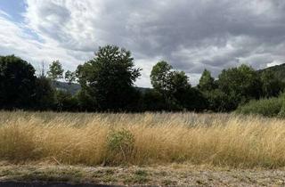 Grundstück zu kaufen in 37281 Wanfried, Bauplatz Nr. 15/13 im Wohngebiet Schützengraben